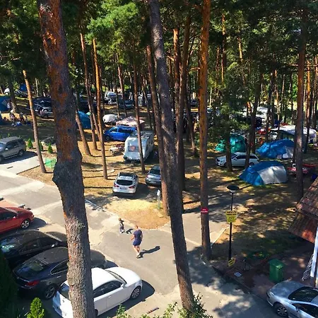 Iguana קריניצה מורסקה