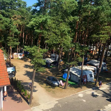 Iguana לינה וארוחת בוקר 3*