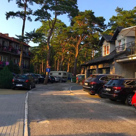 Iguana Krynica Morska