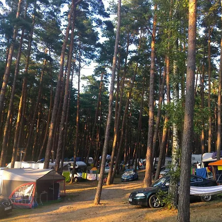 Iguana * Krynica Morska