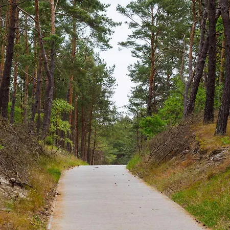 לינה וארוחת בוקר Iguana קריניצה מורסקה