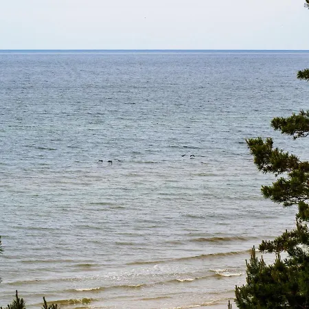 Iguana לינה וארוחת בוקר