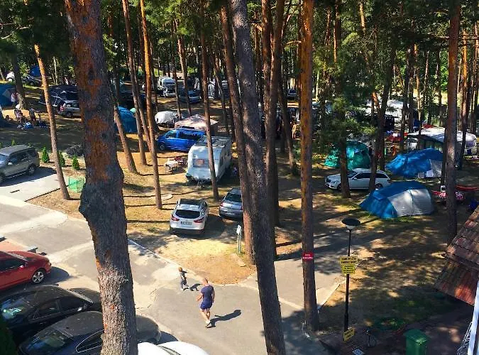 Iguana Krynica Morska