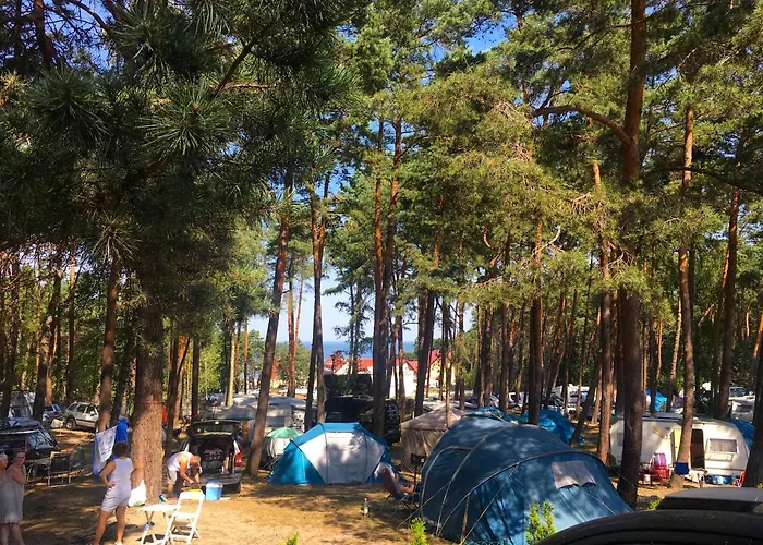 Iguana Bed & Breakfast 3*