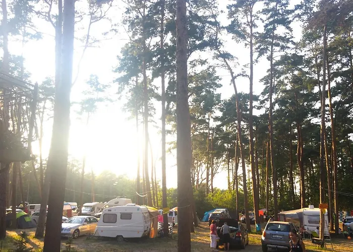 Bed & Breakfast Iguana