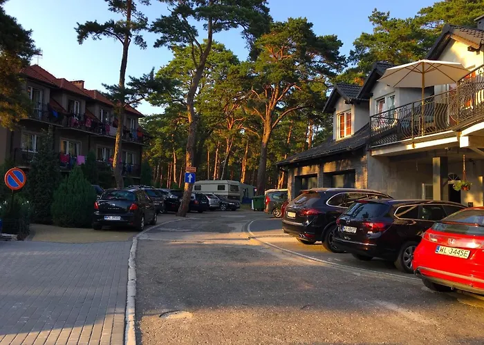 Iguana Krynica Morska