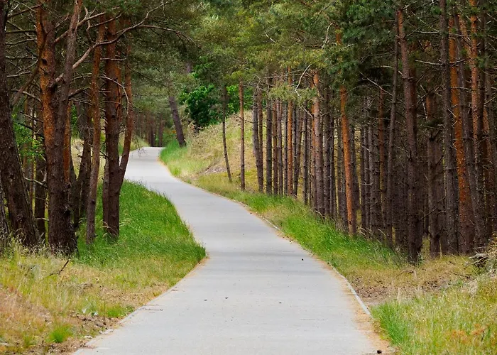 Iguana Bed & Breakfast 3*