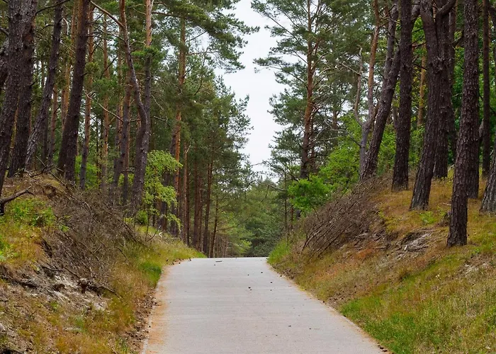 Bed & Breakfast Iguana Krynica Morska