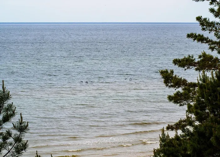 Iguana Bed & Breakfast