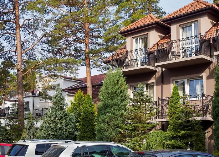 Iguana Krynica Morska