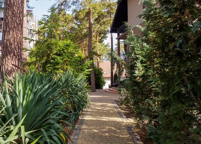 Iguana Bed & Breakfast 3*